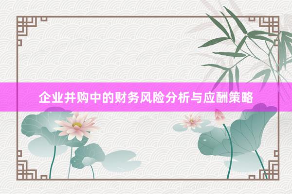企业并购中的财务风险分析与应酬策略