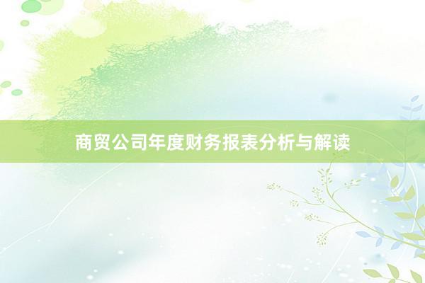 商贸公司年度财务报表分析与解读