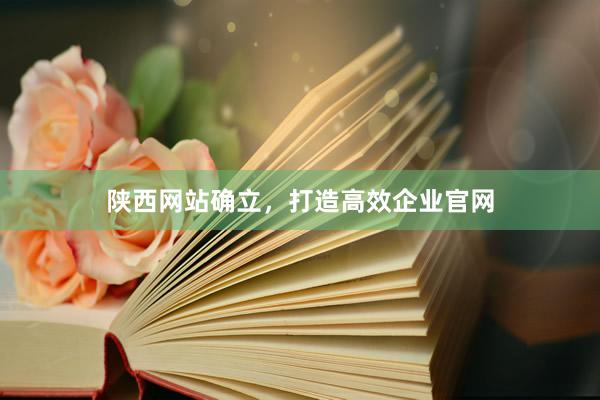 陕西网站确立，打造高效企业官网