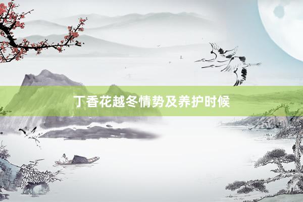 丁香花越冬情势及养护时候